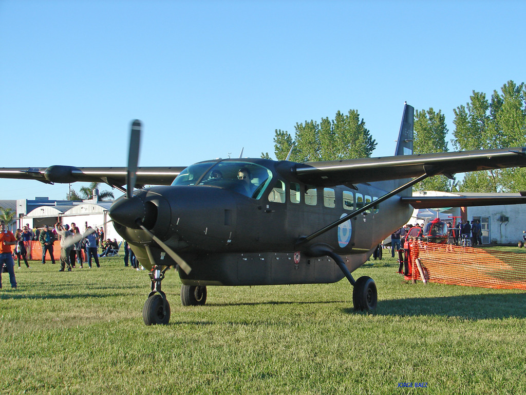 Aviacion del Ejercito Argentino - Página 4 DSC01057_zpsmfp1a8fy