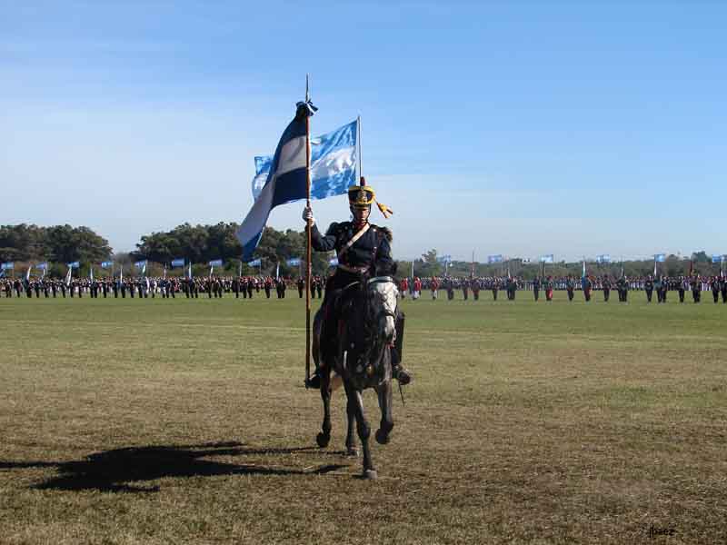 Noticias del ejercito Argentino - Página 32 DSC01520_zps78cbae01