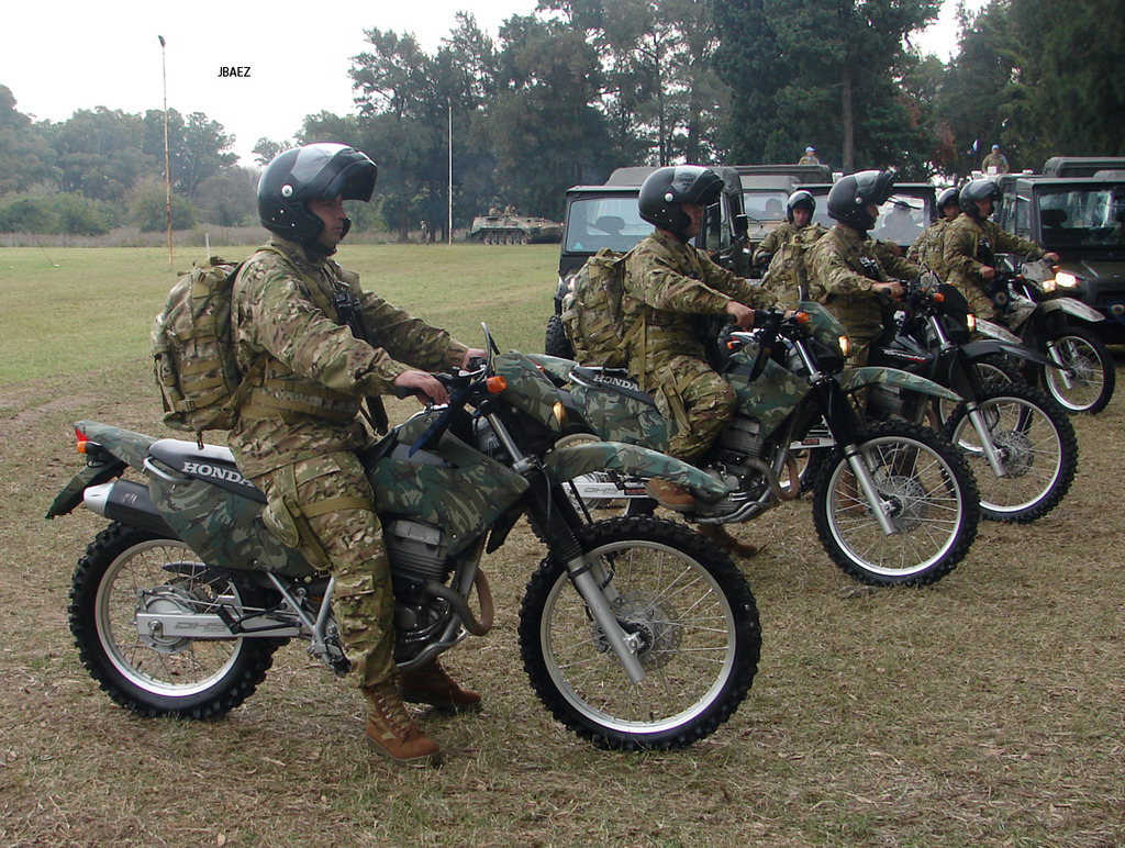 EJERCICIOS DEL EJERCITO ARGENTINO - Página 19 DSC04411_zpsrpm0jeh7