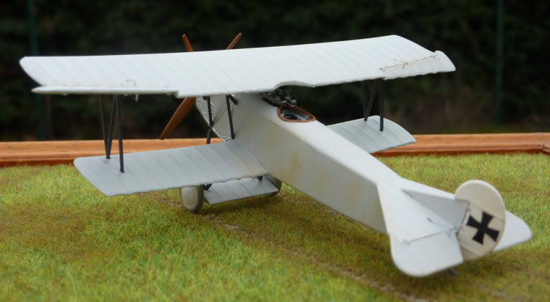 Fokker V 22 (conversion Fokker D VII [Esci] 1/72)  (DVII) - Page 2 P1010259