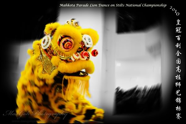 Lion Dance On Stilts National Championship 2010 M_16a