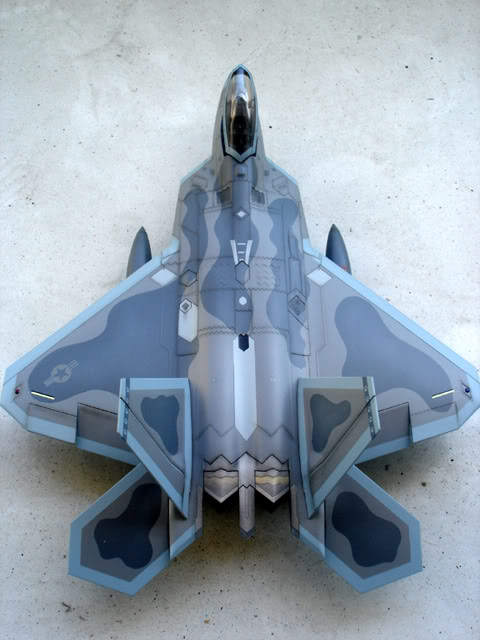 F-22 Raptor DSC04493