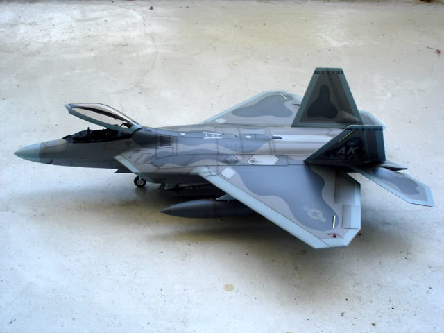 F-22 Raptor DSC04495