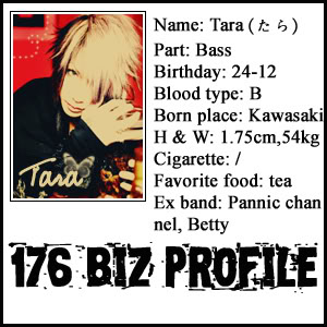 176BIZ Taraprofile