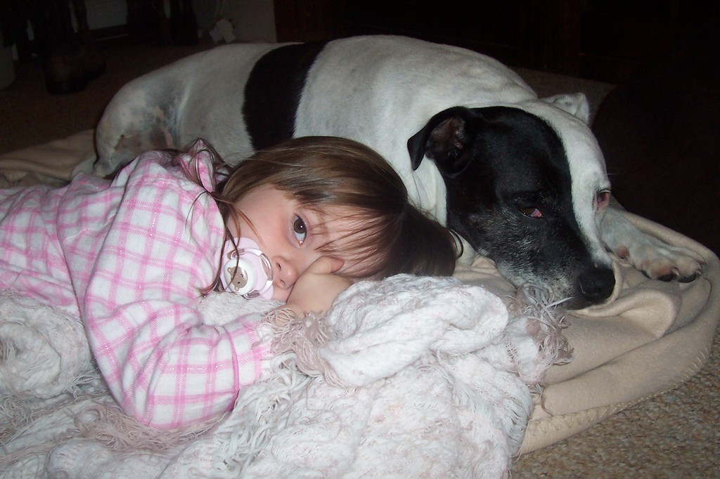 Wanted - Staffies and your family / kids - Page 3 Ella%20baking%20amp%20Portugal%202009%20041_zps9o3ii3sk