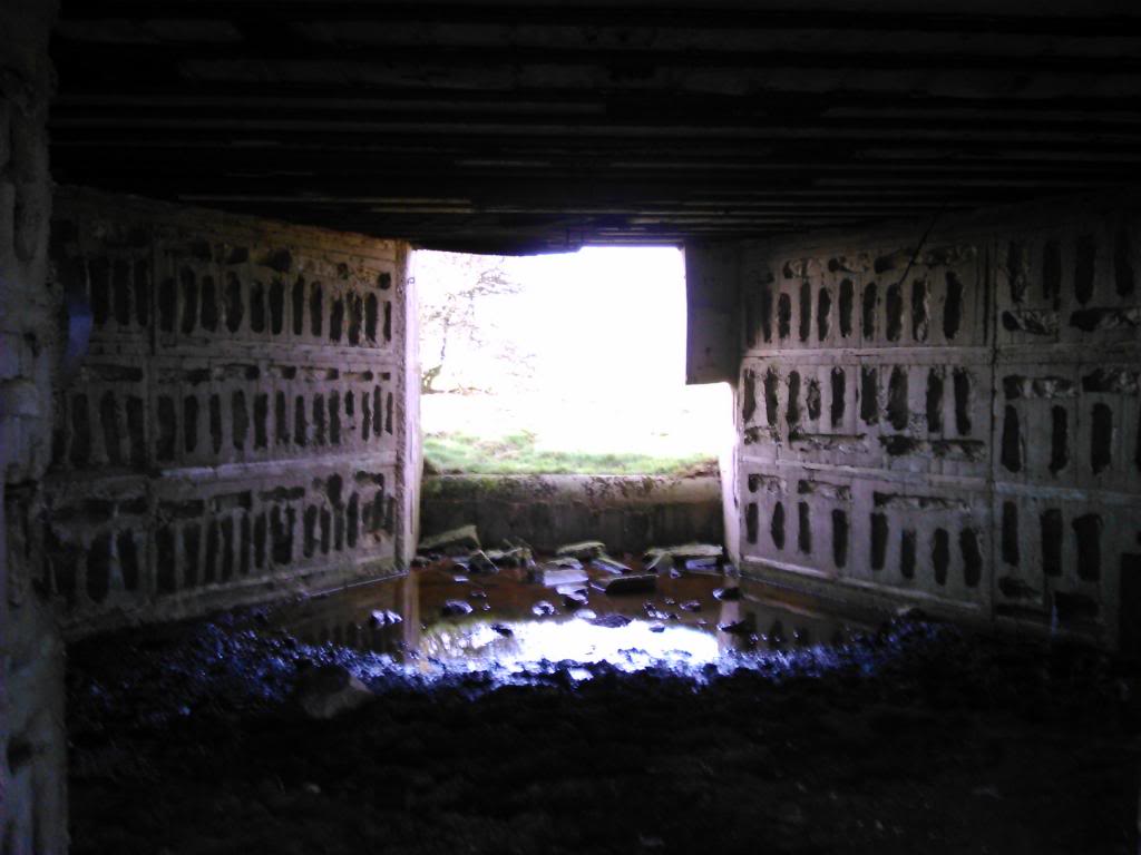 reportage blockhaus dans mon coin DSC_0023_zps97125cc0