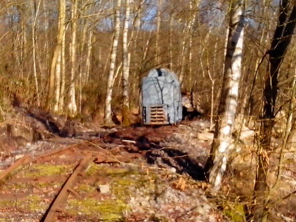 reportage blockhaus dans mon coin - Page 2 IMG_20140304_155238_zps6dfa04e6