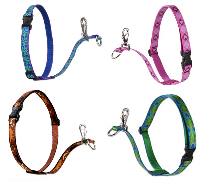 Lupine Pet LupineHarness_zps48eae495