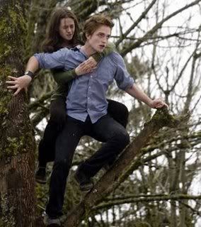 Origen de la inmortal frase "You'd better hold on tight, spider monkey" de Crepusculo!  7/Jinio 2n8sh3n