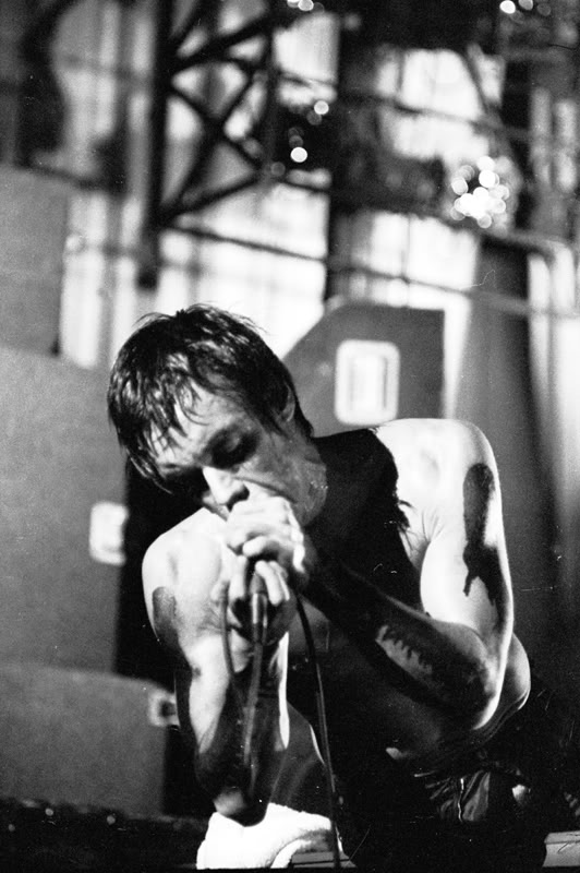 Pictures. - Page 28 IggyPop8