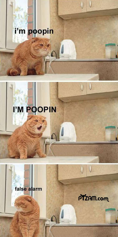 Cuteness Attacks Poopin