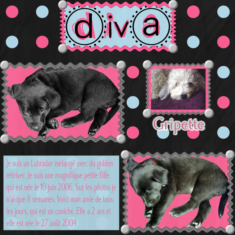 Mon premier vrai scrapbooking Digital Diva