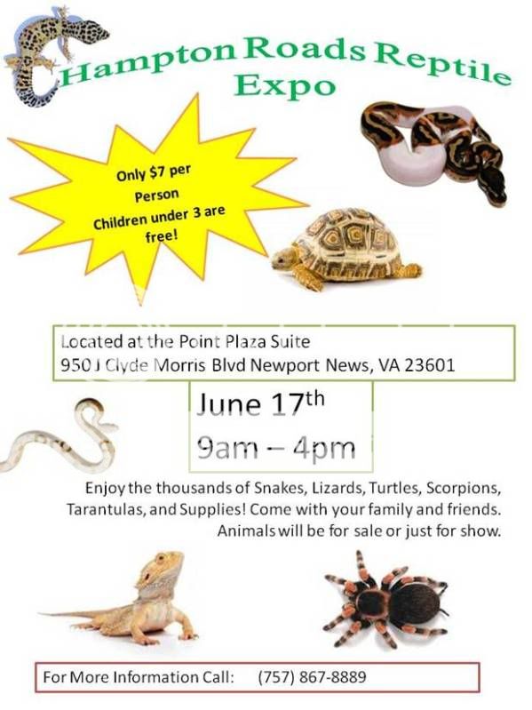 Hampton Roads Reptile Expo June 17th Newport News Snakeshow