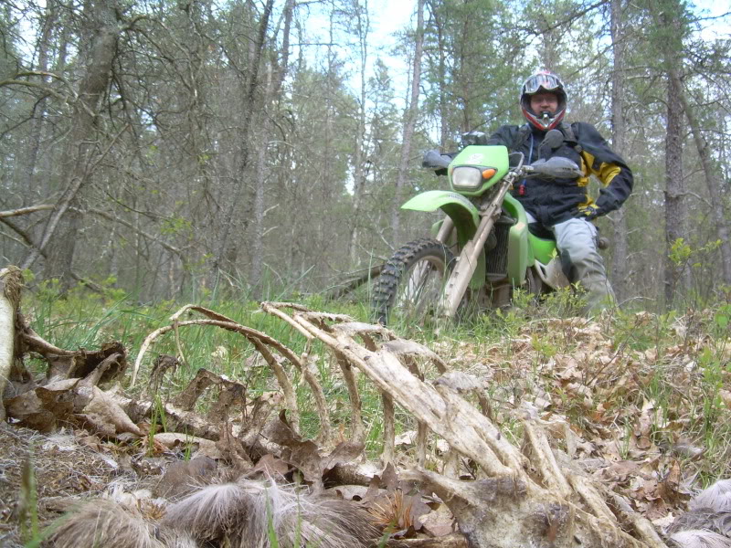 2 days trail riding in Michigan's LP MR051109026