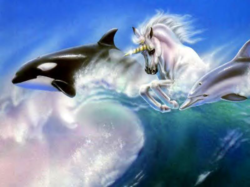 DRAGONS, UNICORNS, & OTHER CREATURES Dolphins-unicorn