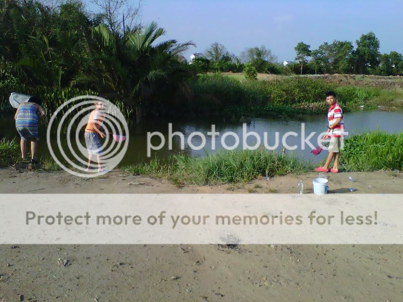 Bac "bassin du Mekong" de mon fils IMG01108-20120317-1630