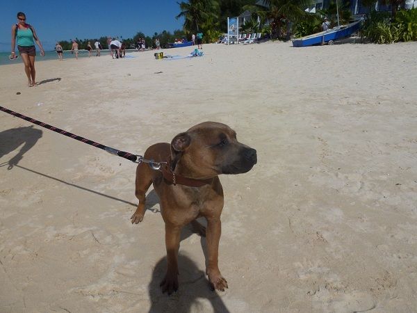 Kia orana from Cook Islands Beach_zps7f2220aa