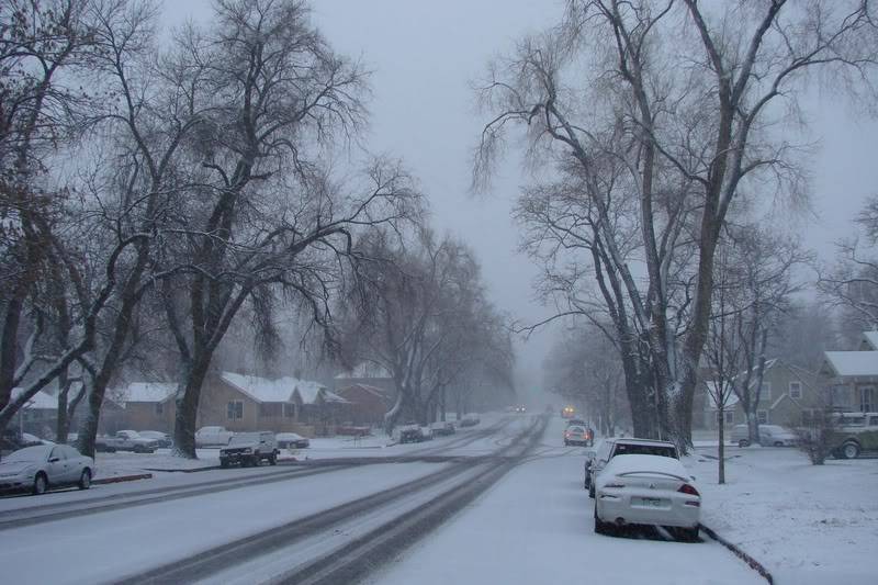 Viajando por Estados Unidos FortCollinsnevado