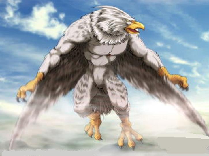 Digimon Galactic Tamers - Página 4 Stormwing_zpseb471cf7