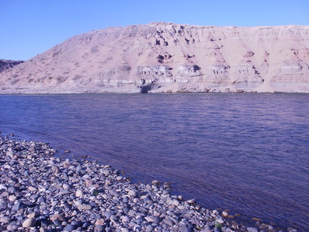 salida de pesca al rio limay P4240095_zps833913ab