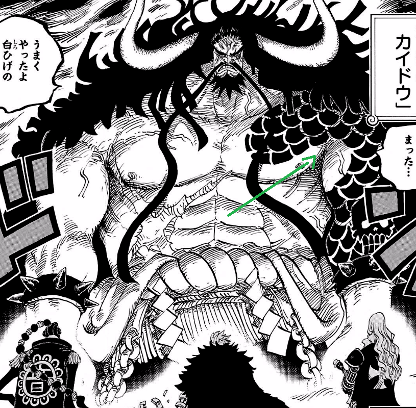 [SPOILER] Tatuajes. Kaido_Manga_Infobox_zpsise9bgdn