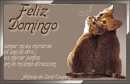 Duo de Gatitos con Frase DOMINGO_zpsjzdmrkx1