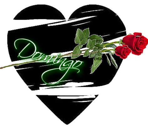 Corazon con Rosa DOMINGO_zpstqzqktx9