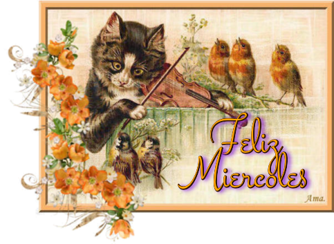 Filomeno Vivaldi y su Violin  Miercoles_zpsraayxndf