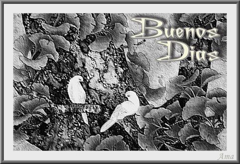 Enamorados en Blanco y Negro Dias_zpsydpw9cgi