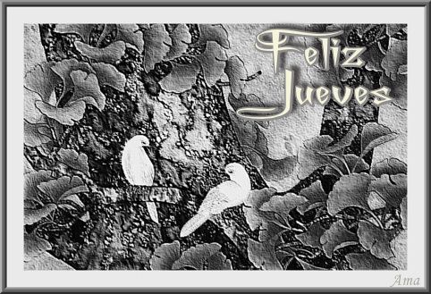 Enamorados en Blanco y Negro Jueves_zps8inivpcu