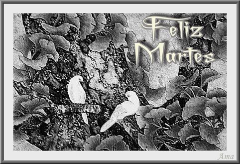 Enamorados en Blanco y Negro Martes_zps1pnyfqgp