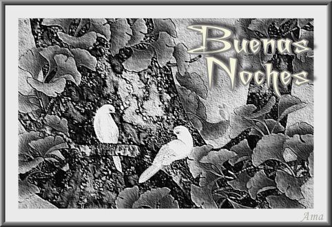 Enamorados en Blanco y Negro Noches_zpsbwsuptpl