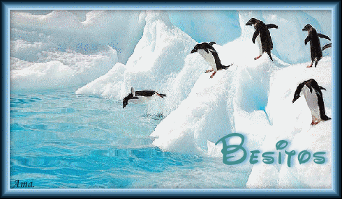 Pinguinos en la Antartida Besitos_zpsiourpa9j