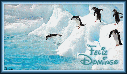 Pinguinos en la Antartida Domingo_zpskiz9fkgk