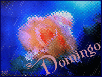 Rosa rosa con lluvia animada E3lpCu8zQF3k_zpsjrm5b5rx
