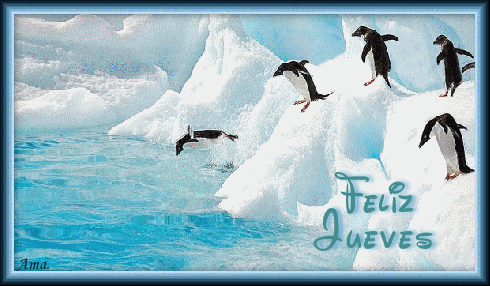Pinguinos en la Antartida Jueves_zpsvigwcm9n