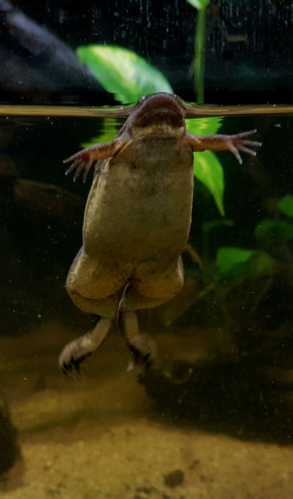 ACUARIO DE ZARAGOZA 20160731_225637_zpslp3fndgy