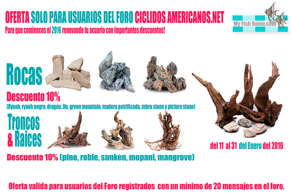 Oferta en Troncos , Raíces y Rocas naturales (solo para el foro) Americanosnetoferta_zpsuj37l7cx