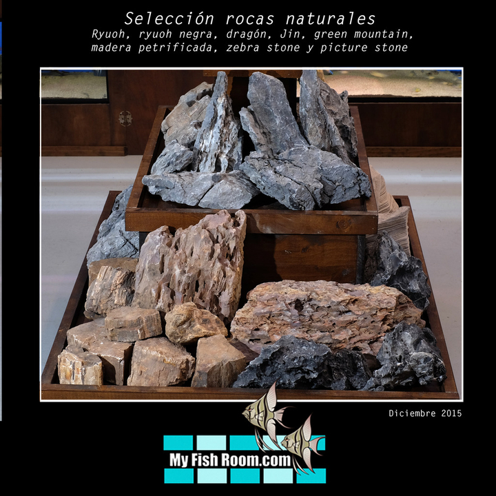 Oferta en Troncos , Raíces y Rocas naturales (solo para el foro) Carro%20rocas8_zpsq1c4ukrr