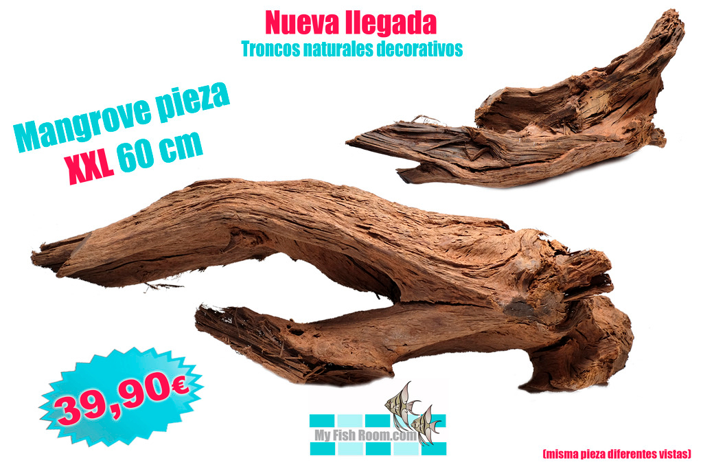 Oferta en Troncos , Raíces y Rocas naturales (solo para el foro) Mangrobexxl2psd_zpsyfzxeuex