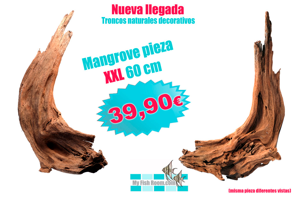 Oferta en Troncos , Raíces y Rocas naturales (solo para el foro) Mngrove%201_zpsxk4swsdg