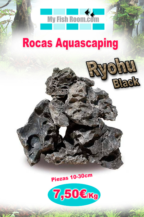 Oferta en Troncos , Raíces y Rocas naturales (solo para el foro) Ryohu%20black2_zpskefsv1ys