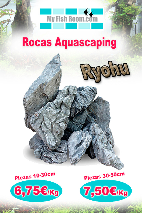 Oferta en Troncos , Raíces y Rocas naturales (solo para el foro) Ryohu%20gris_zpsv23zwizz