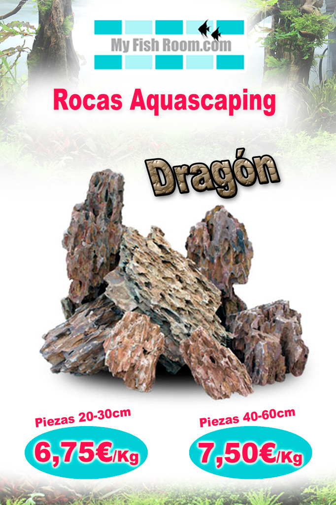 Oferta en Troncos , Raíces y Rocas naturales (solo para el foro) Dragon_zpsllxtc8g8