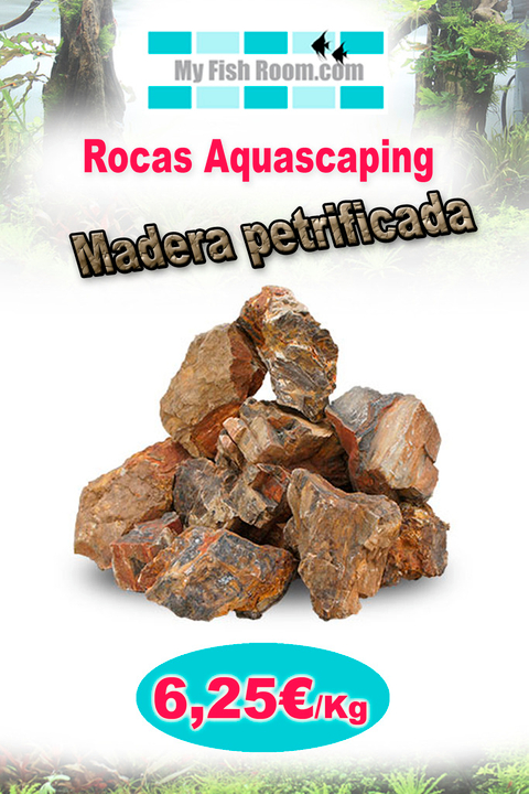 Oferta en Troncos , Raíces y Rocas naturales (solo para el foro) Petrificada_zpsxlz5osxb