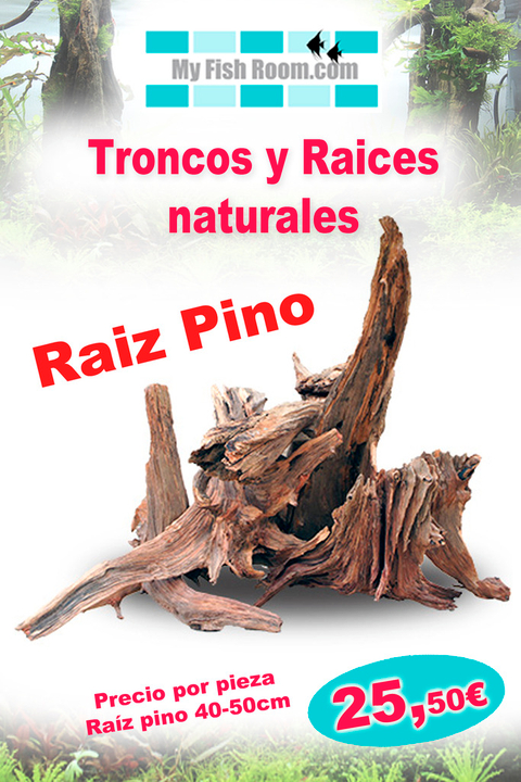 Oferta en Troncos , Raíces y Rocas naturales (solo para el foro) Raiz%20pino_zpsuyl4ivuy