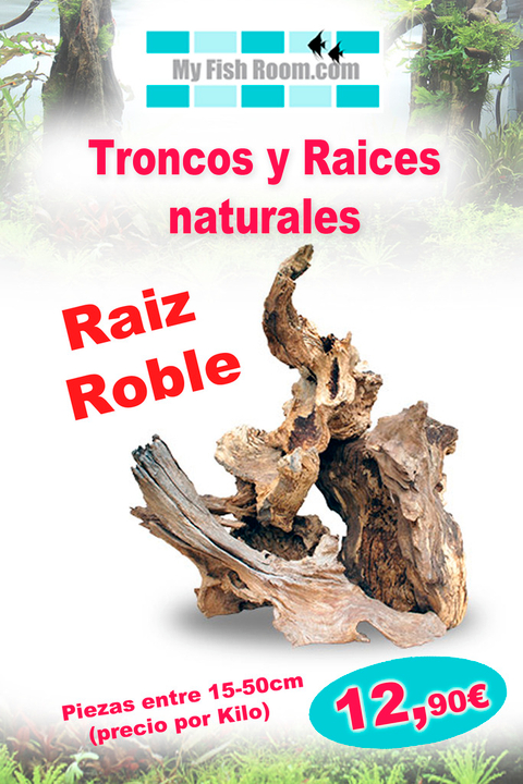 Oferta en Troncos , Raíces y Rocas naturales (solo para el foro) Roble_zpsgzo0wh5q