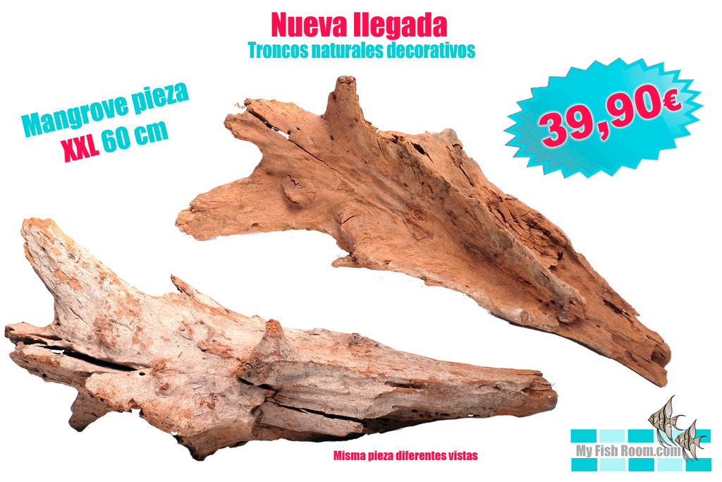 Oferta en Troncos , Raíces y Rocas naturales (solo para el foro) Mangrobe%20xl1_zpsij0lsagv