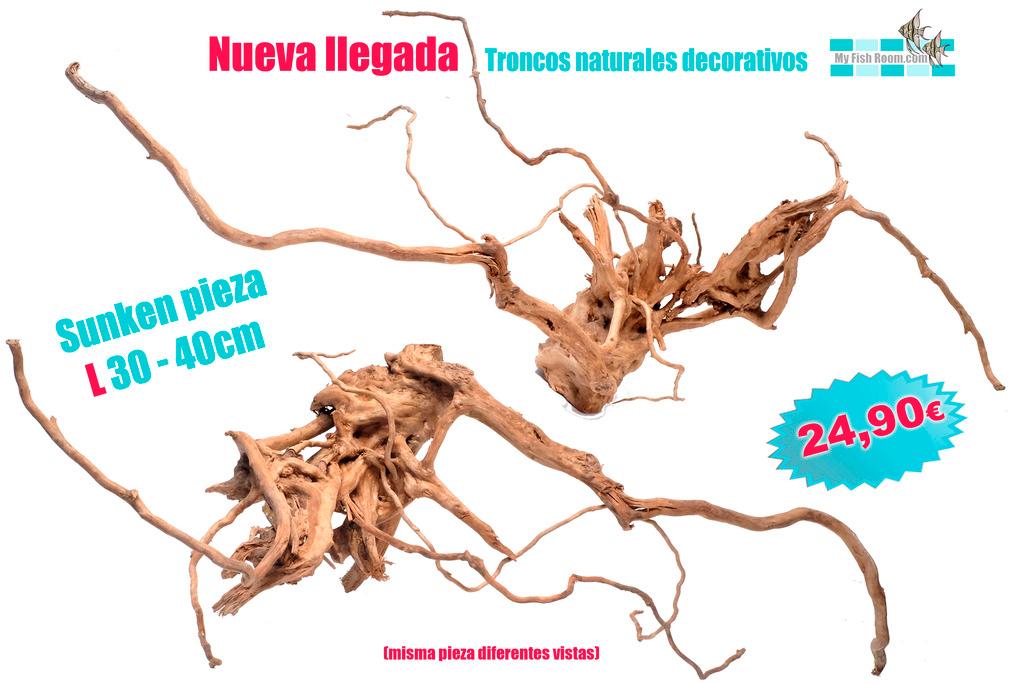 Oferta en Troncos , Raíces y Rocas naturales (solo para el foro) Sunken%20l2psd_zpssqkq5p4d