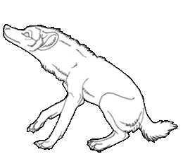 My Old Premades HyenaOutline